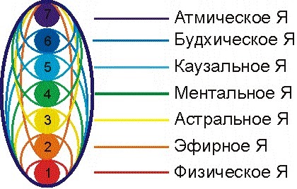 тонкое тело что это
