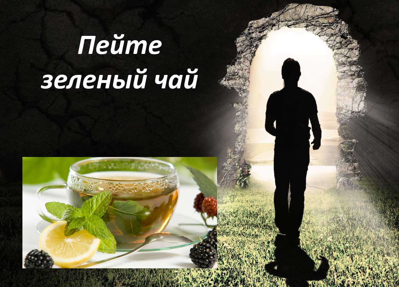как правильно питаться