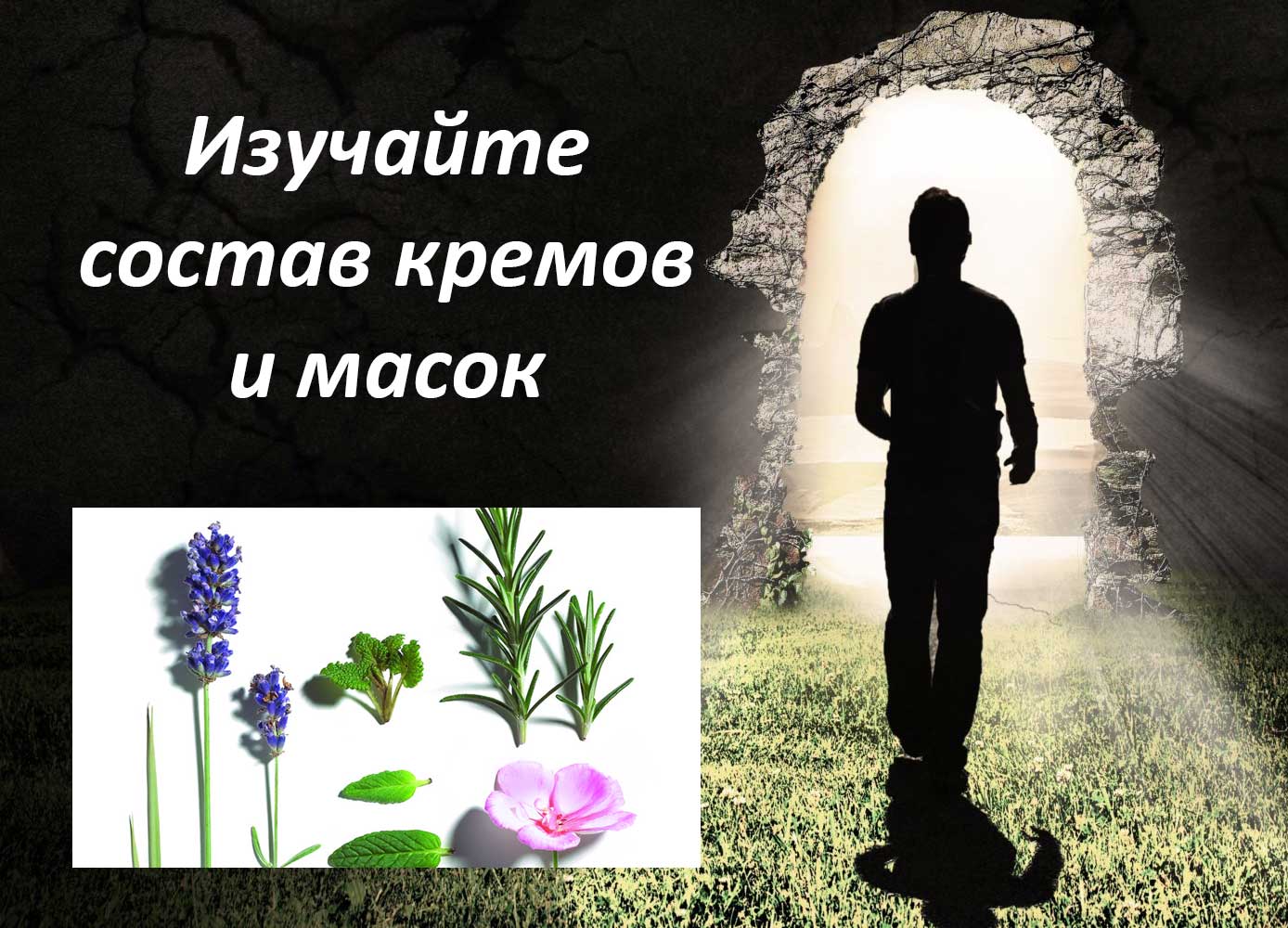 советы по уходу за собой