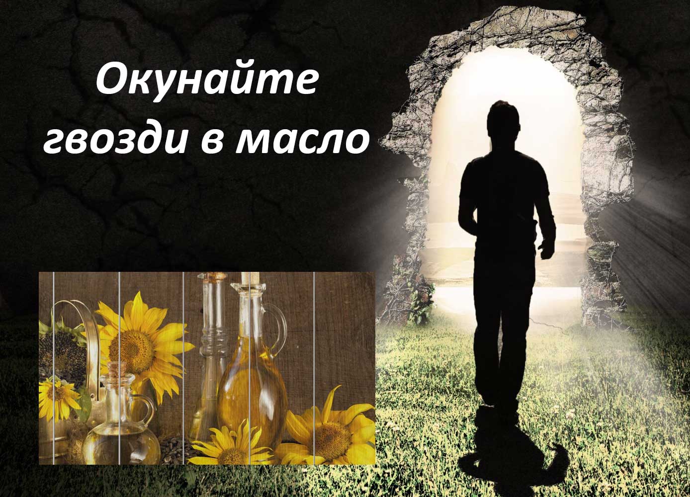 советы на все случаи жизни
