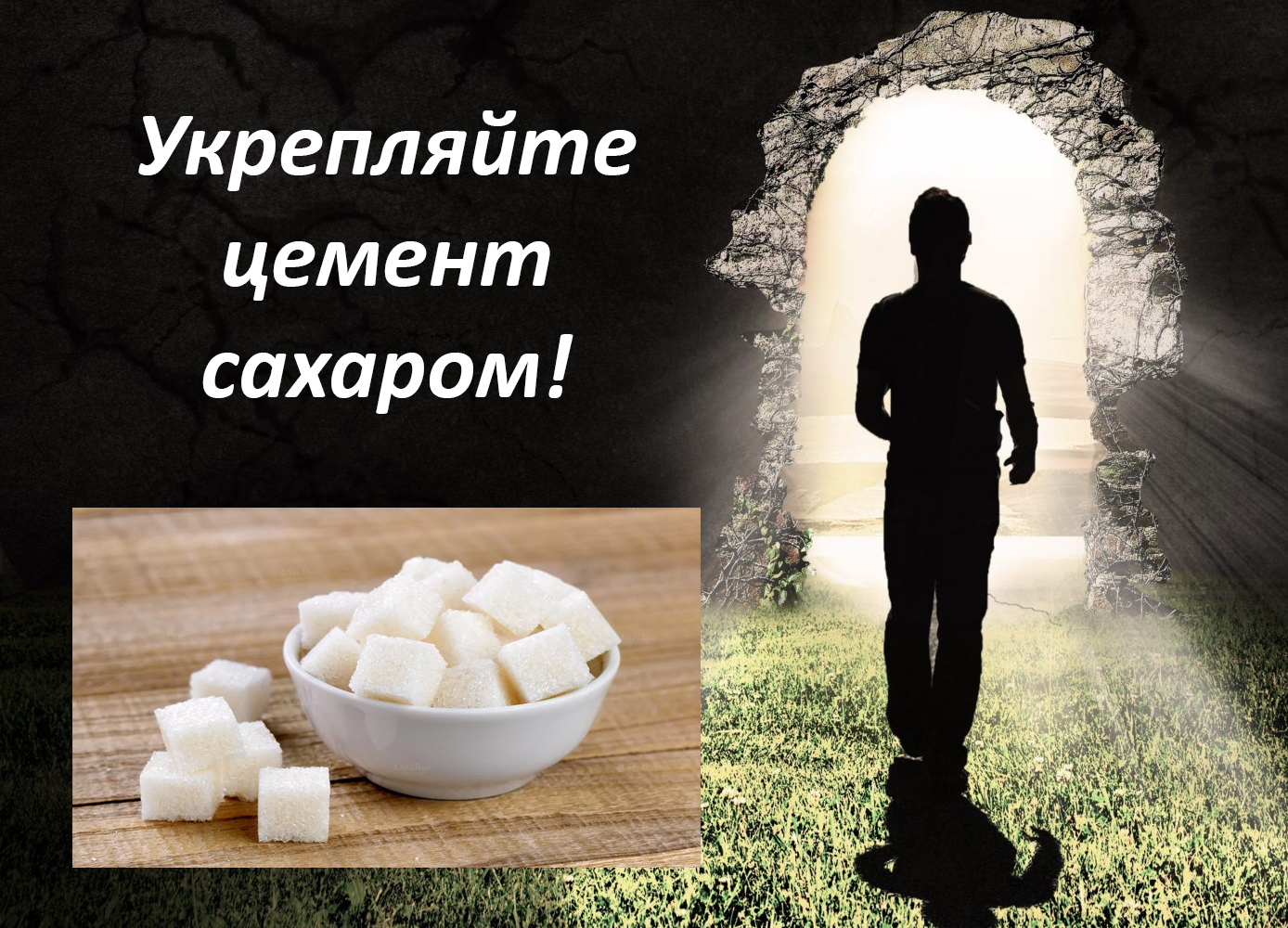советы на все случаи жизни