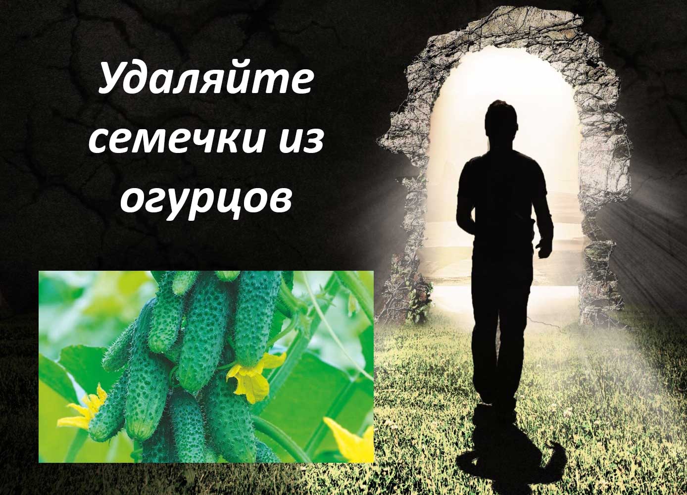 полезные советы хозяйкам