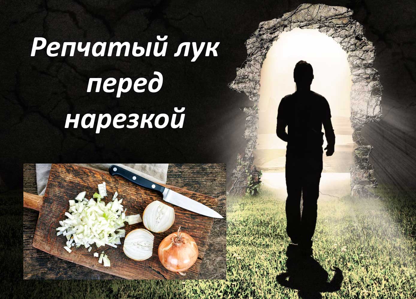 как вести домашнее хозяйство полезные советы