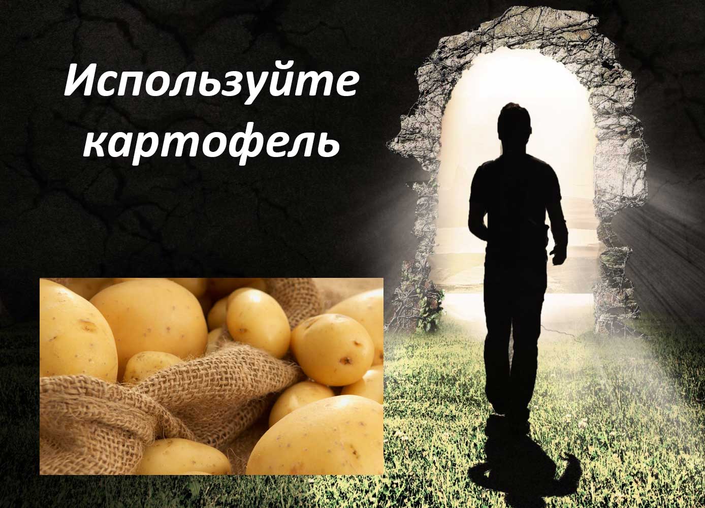 как научиться готовить
