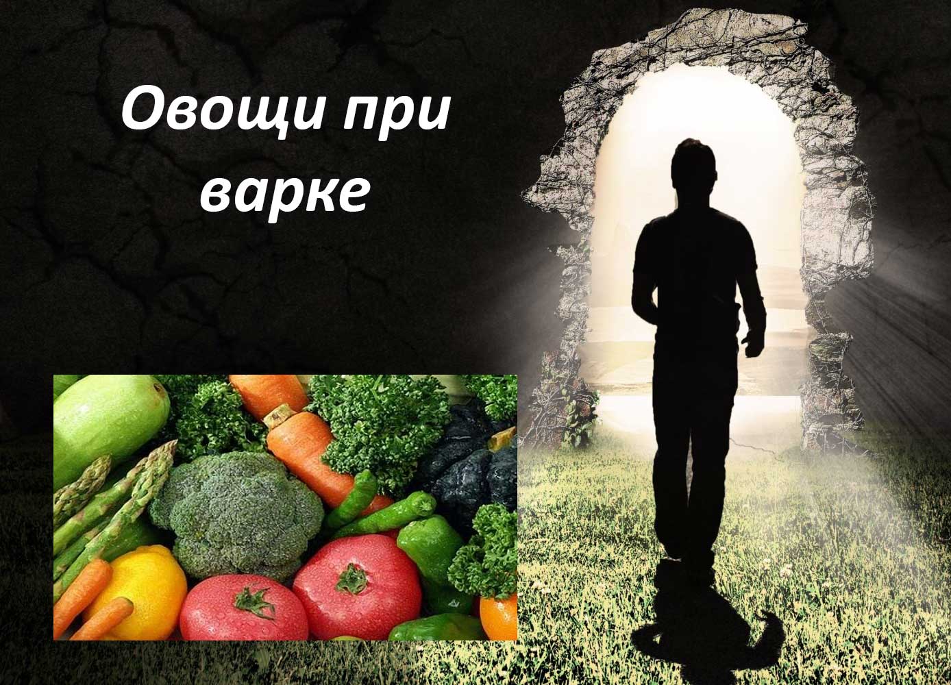 жизненные советы на все случаи